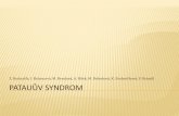 Z. Bednařík, I. Belancová, M. Bendová, A. Bobošová, K ... · DEFINICE, KARYOTYP, ETIOLOGIE • Těžký malformační syndrom způsobený nadbytečným 13. chromozomem • Karyotyp: