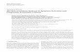 The Role of Intrinsic Pathway in Apoptosis Activation and ... loreto.pdf · BioMedResearchInternational 3 Procaspase 8 Caspase 3 Caspase 8 APAF-1 bid tbid bak bax bcl-2 Cytochrome