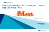Update on Mercer ORC Task Forces -- What’s Hot and What’s Notesafetyline.com/eei/conference s/EEIfall2012/EEImetrics.2012_Newell.pdf · Update on Mercer ORC Task Forces -- What’s