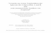 Versuche zur ersten Totalsynthese des Aglycons der ...sylvester.bth.rwth-aachen.de/dissertationen/2004/105/04_105.pdf · das Alkaloid Norbelladin (13) – biosynthetisch aus Tyrosin