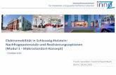Elektromobilität in Schleswig-Holstein ... · Indikator Demografie und zukunftsfähige Nachfragepotenziale. Parameter Kontext Wirkrichtung Innovationszentrum für Mobilität und