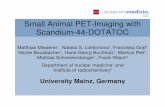 Small Animal PET-Imaging with Scandium-44-DOTATOC 2 Radioisotopes in... · Small Animal PET-Imaging with Scandium-44-DOTATOC Matthias Miederer 1, Natalia S. Loktionova 2, Franziska