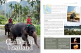 Zon, zee, bountystranden, jungle, héérrrlijk eten ... Tailand.pdf · • the Mandarin Oriental, Bangkok Kijk op Tripadvisor.com (of beter nog: download de app!) en je ziet het: