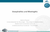 Enzephalitis und Meningitis - infektiologie.co.at · 2 Inzidenz der bakteriellen Meningitis 0,5-3/ 100 000 pro Jahr -> 10 mal so hoch in Enwicklungsländern, jedoch erfolgreiches