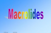 Macrolides - FARM 2147 - UCLouvain · Drug interactions with macrolides • The main problem due to interactions between some macrolides and the cytochrome P 450 system, especially