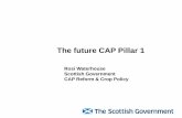 The future CAP Pillar 1 - SRUC · The future CAP Pillar 1 Rosi Waterhouse Scottish Government CAP Reform & Crop Policy