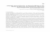 Infantile Hemangiomas: A Disease Model in the Study of ...cdn.intechopen.com/pdfs/28607/InTech-Infantile_hemangiomas_a_disease... · Infantile Hemangiomas: A Disease Model in the