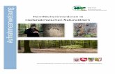Kernflächeninventuren in niedersächsischen Naturwäldern · aufgebaut wird (Verjüngung, lebende Bäume ab der Derbholzgrenze von ≥ 7 cm BHD, stehendes und liegendes Totholz etc.),