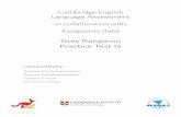 Grey Kangaroo Practice Test 1a - rolandodapiazzola.it Cambridge English Language Assessment in collaboration with Kangourou Italia Grey Kangaroo Practice Test 1a Listening and Reading