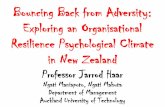 Bouncing Back from Adversity: Exploring an Organisational ... · Bouncing Back from Adversity: Exploring an Organisational Resilience Psychological Climate in New Zealand Professor