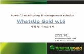 Distributor of Korea swsales@vinetech.co.kr (Tel. 82-2 ... gold datasheet.pdf · Agenda Powerful network monitoring & management solution 5 Intro_WhatsUp Gold Core Products WhatsUp