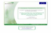 European Commission DG ENVec.europa.eu/environment/waste/packaging/pdf/report_29092008.pdf · Final Report September 29, 2008. 2 European Commission DG ENV Study to analyse the derogation