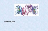 Proteini - pmf.unsa.ba za organsku hemiju i biohemiju... · –Nepolarne aminokiseline, imaju nepolarnu grupu u bočnom ogranku, netopive u vodi 17 •Polarne aminokiseline (imaju