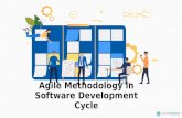Agile Methodology in Software Development Cycle