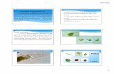 Division Euglenophyta - biology.crru.ac.thbiology.crru.ac.th/biology/images/PDF/Phyco/Phyco-06.pdf · 9/6/2016 1 Division Euglenophyta เป็นเซลล์มีหนวดที