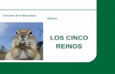 LOS CINCO REINOS - lascienciasytu.files.wordpress.com · Ciencias de la Naturaleza EL REINO MONERAS UNIDAD Los cinco reinos Características generales: microorganismos unicelulares