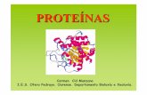 PROTE ÍNAS - centros.edu.xunta.escentros.edu.xunta.es/iesoteropedrayo.ourense/dptos/bio/.../7_proteinas.pdfAs proteínas son macromoléculas.. Son os compostosorgánicos máis abundantes