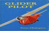Glider Pilot - s3-eu-west-1.amazonaws.com Pilot.pdf · Preface This story portrays the experiences of one glider pilot who is in debted to the Southdown Gliding Club for the five