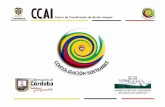 CENTRO DE COORDINACIÓN REGIONAL DEL SUR DE CORDOBAccai-colombia.org/files/primarydocs/1103nupa.pdf · (Los Rastrojos ‐Los Paisas –21 de Urabá) ... Componentes básicos: •