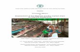 Assessment of the Nigerian poultry market chain to improve ... · NIGERIA Consultative Mission on Assessment of the Nigerian poultry market chain to improve biosecurity Paolo Pagani,