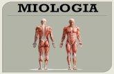 MIOLOGIA - anatom.uaanatom.ua/wp-content/uploads/Eponim-miologia-anatom.in_.ua_.pdf · Французький анатом, фізіолог та лікар. Розробив вчення