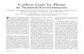 Carbon Gain by Plants - WFUusers.wfu.edu/silmanmr/bio377/assignments/Readings/plants/pearcyetal... · Carbon Gain by Plants in Natural ... Russell K. Monson, and Boyd R. Strain P