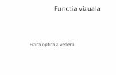 Fizica optica a vederii - Fiziologie analizatorul vizual 2015.pdf · Fizica optica a vederii. Anatomia ochiului. Structurile principale ale ochiului Canalul lui Schlemm Reteaua trabeculara