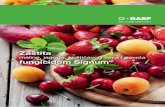 maline, jagode, koštičavog voća i povrća fungicidom Signum · Za zaštitu jagode od prouzroko-vača sive truleži Signum® se pri-menjuje u količini 1.5-1.8 kg/ha za-visno od
