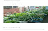4 lợi ích của việc trồng rau sạch tại nhàhatgiongmienbac.com/tin-tuc/333--4-loi-ich-cua-viec-trong-rau-sach-tai-nha.pdf · 4 lợi ích của việc trồng rau sạch