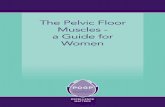 The Pelvic Floor Muscles - a Guide for Women · Good pelvic fl oor muscles can help with sex by improving the vaginal sensation and your ability to grip. Your pelvic fl oor muscles