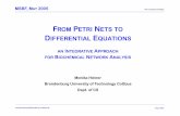 FROM PETRI ETS TO DIFFERENTIAL QUATIONS filePN & Systems Biology monika.heiner@informatik.tu-cottbus.de May 2005 MSBF, MAY 2005 FROM PETRI NETS TO DIFFERENTIAL EQUATIONS AN INTEGRATIVE