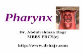 Pharynx [للقراءة فقط]fac.ksu.edu.sa/sites/default/files/pharynx_1.pdf · Pharynx • Anatomy (deep spaces) • Physiology • Pathology –Adenoid –Snoring & sleep apnea