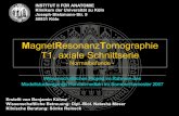 MagnetResonanzTomographie T1, axiale Schnittserie · MagnetResonanzTomographie T1, axiale Schnittserie - Normalbefunde - Wissenschaftliches Projekt im Rahmen des Modellstudiengangs