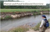 Fluvial and Pond Sediment Overview · Don Johnson (soil geomorphology, Univ. Illinois), photo by Randy Schaetzl (Schaetzl and Anderson, 2005) Hilt Johnson (Quaternary geology and