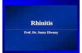RhinitisRhinitis - Lectures/Nose/Rhinitis Full.pdf¢  Chronic Hypertrophic Rhinitis ... Rhinitis Medicamentosa