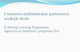 Comenius multilateralno partnerstvo srednjih škola · Priprema audio-vizualnih prezentacija na temu ovisnosti o Internetu (temeljenih na prethodno provedenoj anketi) prosinac 2011.