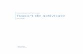 Institutul Național al Patrimoniului Raport de activitate de management_2017.pdf · Pagina 1 / 58 RAPORT DE ACTIVITATE (cf. ORDIN nr. 2799 din 10 decembrie 2015 pentru aprobarea