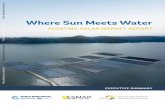 Where Sun Meets Water - documents.worldbank.orgdocuments.worldbank.org/curated/en/579941540407455831/pdf/131291-WP... · This report was researched and prepared by the Solar Energy