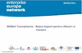 BISNet Transylvania - Reţea Suport pentru Afaceri si Inovarei4t.iceberg.ro/wp-content/uploads/2018/03/Sorina-Blejan-EEN-BISNet... · se finalizează cu un Plan de Acţiune şi recomandăricare