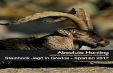 Absolute Hunting · Steinbock Jagd im Gredos Gebirge - Nord Spanien Willkommen in einem der besten Free Range Gebiete für die Jagd auf den Gredos Steinbock in Spanien.