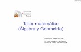 Taller matemáticoTaller matemático (Álgebra y Geometría ...antares.sip.ucm.es/cpareja/tallerMatematico/slides/Álgebra y geometría.pdf · y luego tomamos los factores comunes