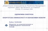 , 23 ноември 2006 - Македонски · PDF fileпримарни облици на енергија (нафта, гас, јаглен) секундарни облици