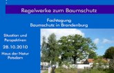 Regelwerke zum Baumschutz - hausdernatur- 3 Gliederung Baumschutz in Brandenburg 1Einf£¼hrung 2 Gesetze,