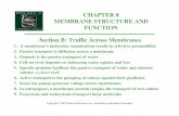 CHAPTER 8 MEMBRANE STRUCTURE AND FUNCTION Section B ...lhsteacher.lexingtonma.org/Pohlman/08B-TrafficAcrossMembranes.pdf · Title: 08B-TrafficAcrossMembranes.ppt Author: Robert Pohlman