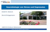 Neurobiologie von Stress und Depression - uni-hildesheim.de · :: Leben und Gesundheit in guten Händen :: Prof. Dr. Detlef Dietrich 10.02.2013 2 •Stress •Depression •Was sind