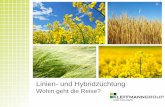 Wohin geht die Reise? - bv-agrar.de · Fungizid Herbizid, selektiv Insektizid Wachstumsregulator Saatgutkosten Liniensorten Saatgutkosten Hybridsorten Kosten je Hektar- Saatgut und