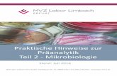 Praktische Hinweise zur Präanalytik Teil 2 - Mikrobiologie · Legionelleninfektion mit Ringer-Laktat lavagieren, da NaCl bakterizid auf diese Erreger wirkt. Geschützte Bronchialbürste