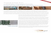 Tropical timber from Y sustainably managed forests · Timber companies from countries like Peru therefore encounter difficulties in exporting their tropical wood products to the EU