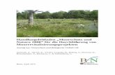 Handlungsleitfaden „Moorschutz und Natura 2000“ für die ... · 277 Handlungsleitfaden „Moorschutz und Natura 2000“ für die Durchführung von Moorrevitalisierungsprojekten