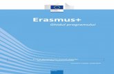 Erasmus+ Ghidul programului 2019 - Versiunea 2 (2019): 15 ... · Partea A oferă o prezentare generală a programului. Aceasta furnizează informații cu privire la obiectivele, prioritățile